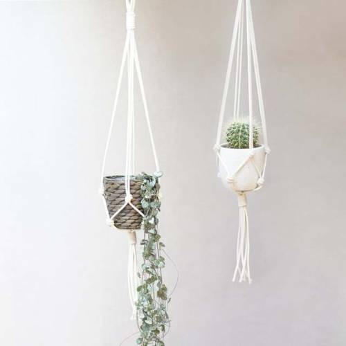 Macrame Plant Hanger //TeddyandWool