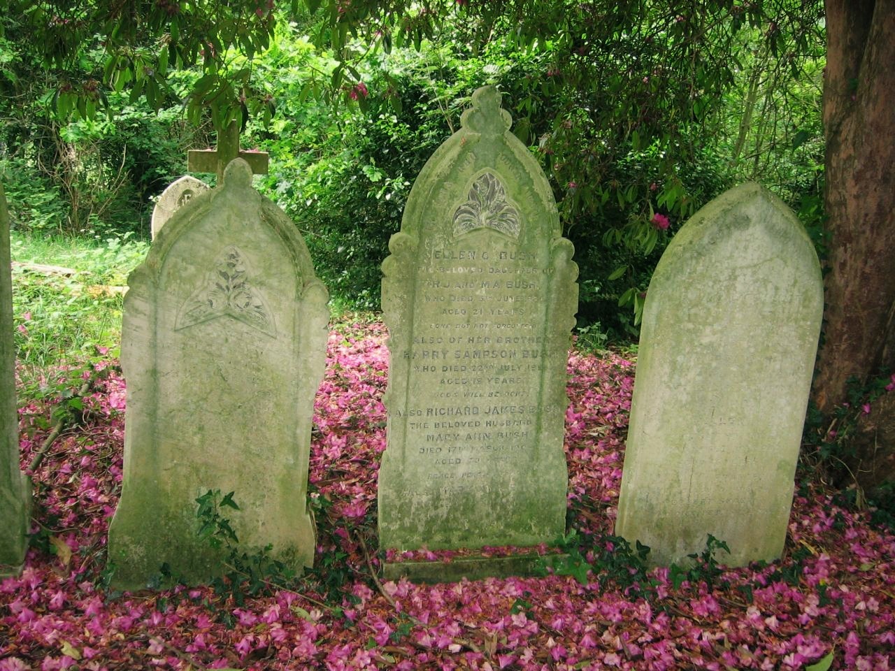 englishsnow:  Old Southampton Cemetery by dippy_duck 