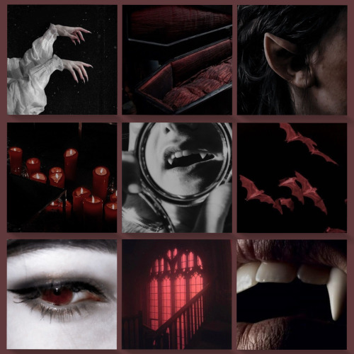 Haiii :3 Can You Do An Elven Vampire Themed Moodboard? Very Gothic Vibes And Yesh Like Red And Black