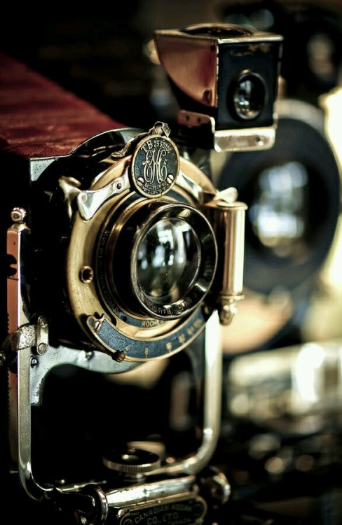 collective-soul-72:(via TumbleOn)