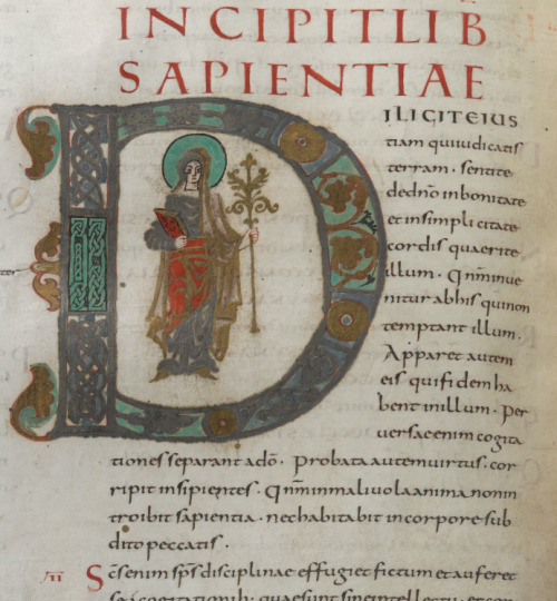 artofthedarkages: 262v, Bible, Add MS 10546, British Library