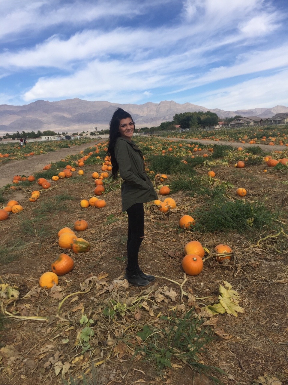 sleepingwiththeboss:who knew vegas has a pumpkin patch we do, the Gilcrest Ranch