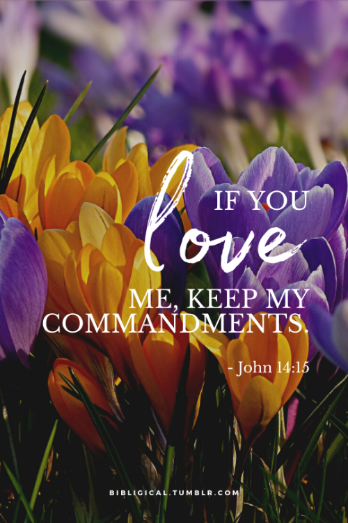 bibligical:John 14:15If you love Me, keep My commandments.