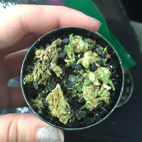 Start the morning right