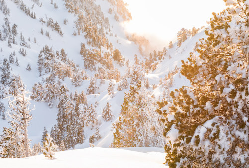 beautiful-basque-country:Winter in Larra-Belagua.