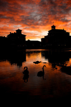 breathtakingdestinations:Broadmoor - Colorado