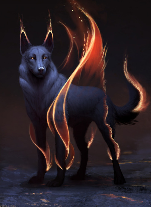 jademerien:Wolf/dog Instagram: www.instagram.com/jademerien/Twitter: twitter.co