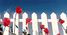 murder-a-la-mod:Blue Velvet, 1986. 