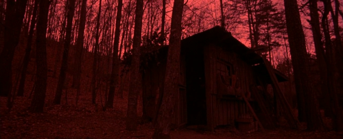 hornyhouseofhorror: Cabin Fever - Eli Roth 2002