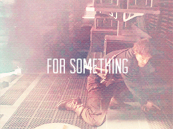 Monkey Fitz