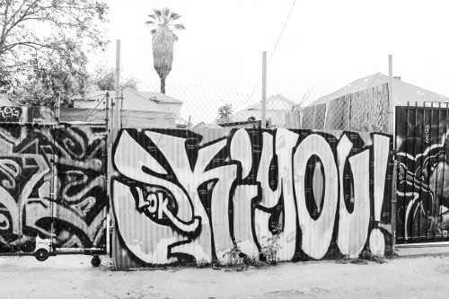 ysociety:  streetxvibes:  adventures / alleys / portraits / graffiti/ LA BRUHHHHHH :  i got no ass bruh.