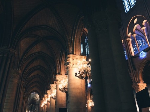 Ceilings of Notre-Dame de Parisannanasnas