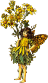 winslowat3am:✧* Vintage Flower Fairies by Cicely Mary Barker ✧*