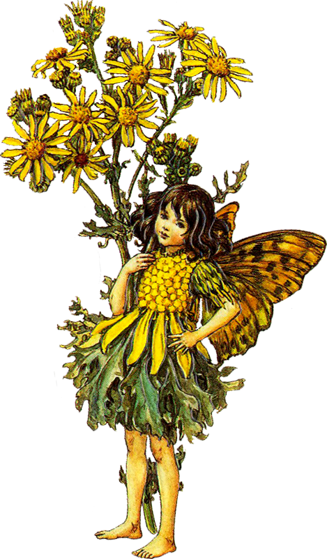 winslowat3am:✧* Vintage Flower Fairies by Cicely Mary Barker ✧*