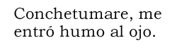 the-world-surprises-me-every-day:  Conchetumare, me trage el humo ):