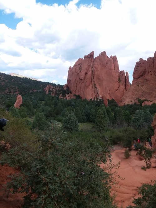 child-of-the-renaissance:Garden of the Gods