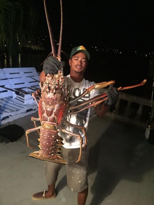 deepsea:(via 魔の海域バミューダトライアングルで、「ありえない大きさ」のロブスターが発見される | ポッカキット)