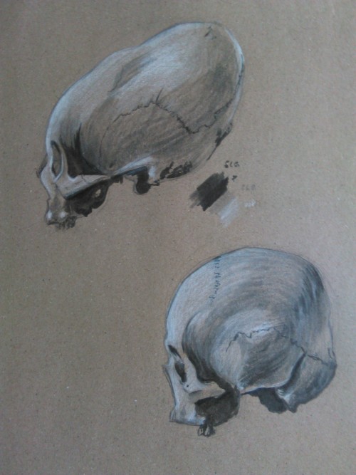 fluffyrat - Artificially deformed skulls, prehistoric...