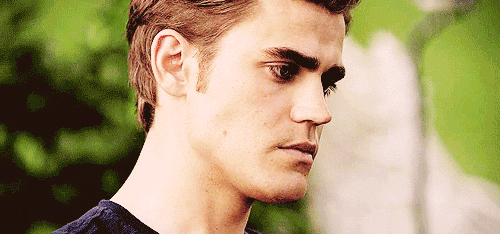 hi-paul-deactivated20140531:      #how i watch the vampire diaries s4     