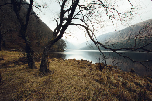 cdelehanty:  Glendalough, Ireland | April adult photos