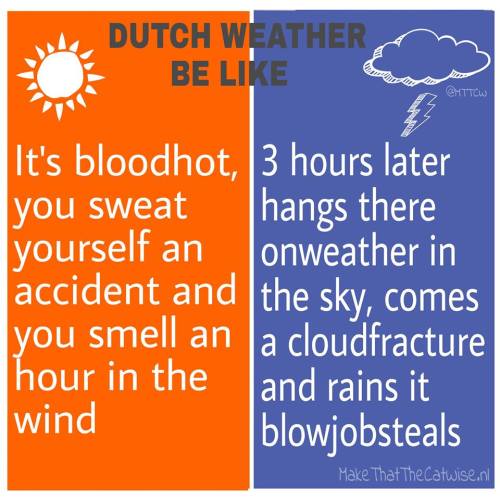 melaye:  weergang:  vonmetternich:  Dunglish! [Dutch English]It’s true though  omg.   It makes my toes curl because I know people who actually do English like this, but yeah…