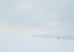  ⍋↟⍋↟* 暑くなってくると恋しくなる雪