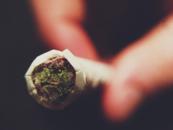  http://dopeazzfilo.tumblr.com/ | check it out for more dope sh*t, bad bitches &amp; for a follow back 