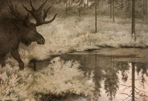 theodor-kittelsen:I Came to the Secret Springs and Lakes Where Mooses Slake Their Thurst, 1900, Theo