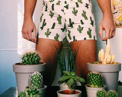twistedlungs:  kingofclouds: 🌵🌵🌵  My aesthetic tbh 