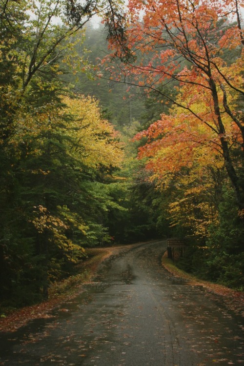 englishsnow: rainy afternoon in maine by blepere