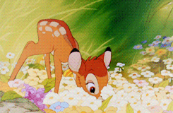 percy-jacksoff-deactivated20130:Favourite Disney Films → Bambi