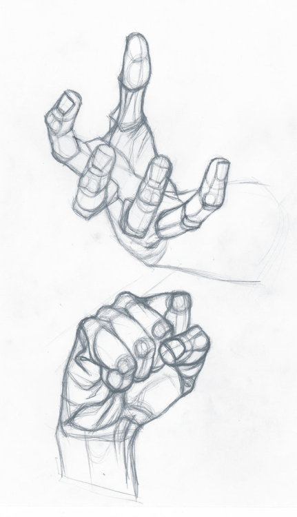 anatoref:  Hand Studies  porn pictures