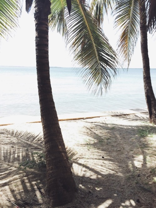 sandylamu: Manda Bay, Kenya. Photo Sandy B