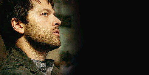 captnsunshine:  Our fearless leader, I’m afraid, is all too well schooled in the