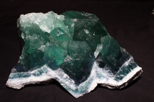 Massive fluorite from near Rodeo, Durango, Mexico under white light and long wave ultraviolet (black