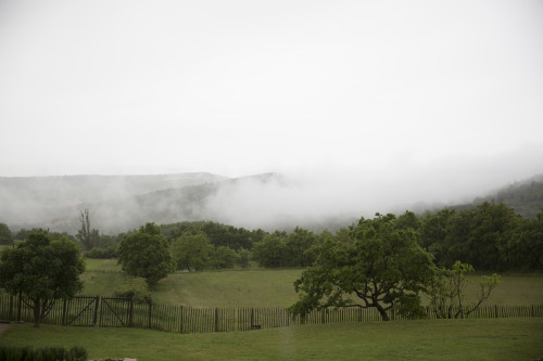 fawndeviney:Provence in early morning | Fawn DeViney 