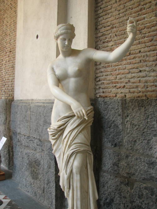 careerinromanruins:Naples National Archaeological Museum (Museo Archeologico Nazionale di Napoli), I