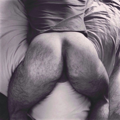 XXX Hairy ass, ready for action. photo