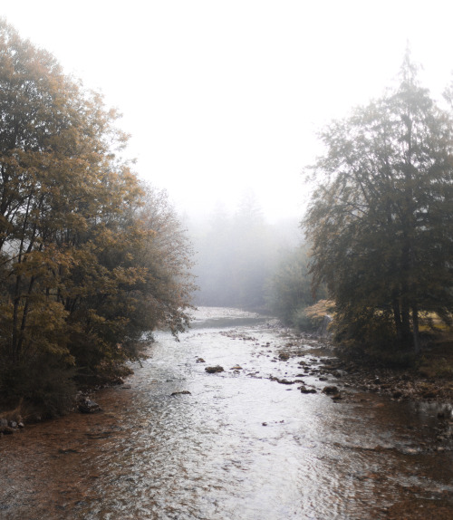 we stayed at lake bohinj for a few days