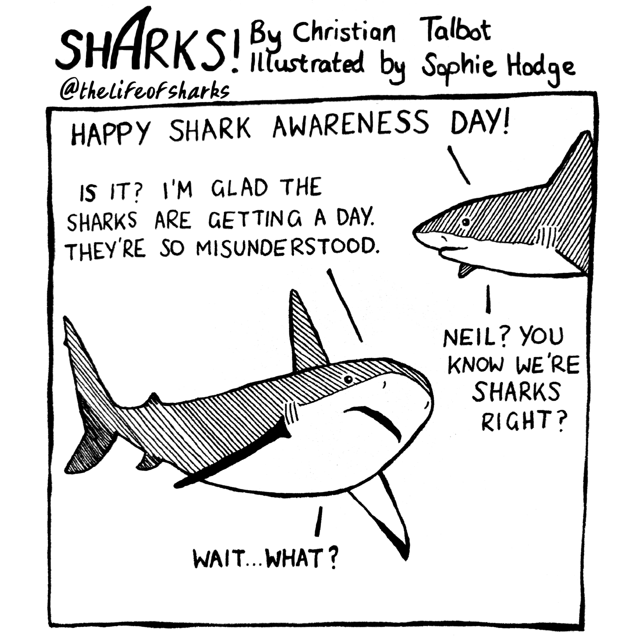 Being a shark for the day