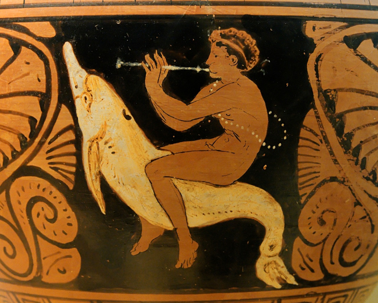 File:Apulian red-figure dinos in the Eskenazi Museum of Art, scene of a  naked woman holding a whip riding a dolphin.jpg - Wikipedia