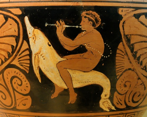 thoodleoo:honestly i don’t think i’ve found a single depiction of a dolphin in ancient art that i do