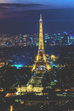 w0rldvanity:  Eiffel Tower | WorldVanity