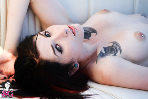 pornisfantastic:  Porn is great, isnt it?  If you like the pictures, feel free to donate