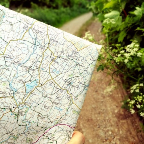 On track. #osmaps #englishcountryside #maps #lane #walking #wayfinding #dalesway