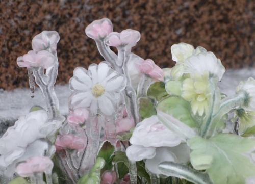 happyheidi:“Cemetery flowers after the ice storm”by Peter Fricke