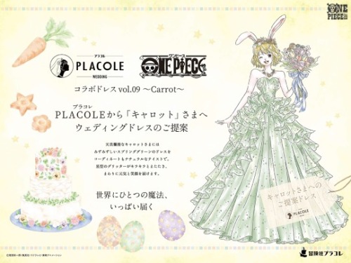 the Placole collaboration with one piece wedding dress