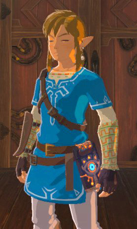 ingen forbindelse Forsøg klo The BOTW Art Reference Collective — Champion's Tunic - Hylian Trousers  (dyed white) +...