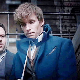 angie-pangaea:Endless List of Favourites + Characters ||  Newt Scamander (Fantastic Beasts and Where