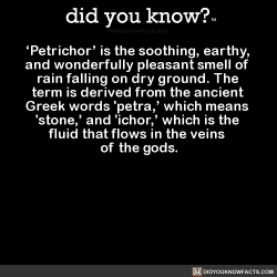 did-you-kno:  ‘Petrichor’ is the soothing, earthy,  and wonderfully pleasant smell of  rain falling on dry ground. The  term is derived from the ancient  Greek words ‘petra,’ which means  &lsquo;stone,’ and 'ichor,’ which is the  fluid that